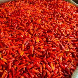Bird Eye chilli