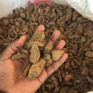 Oysternut